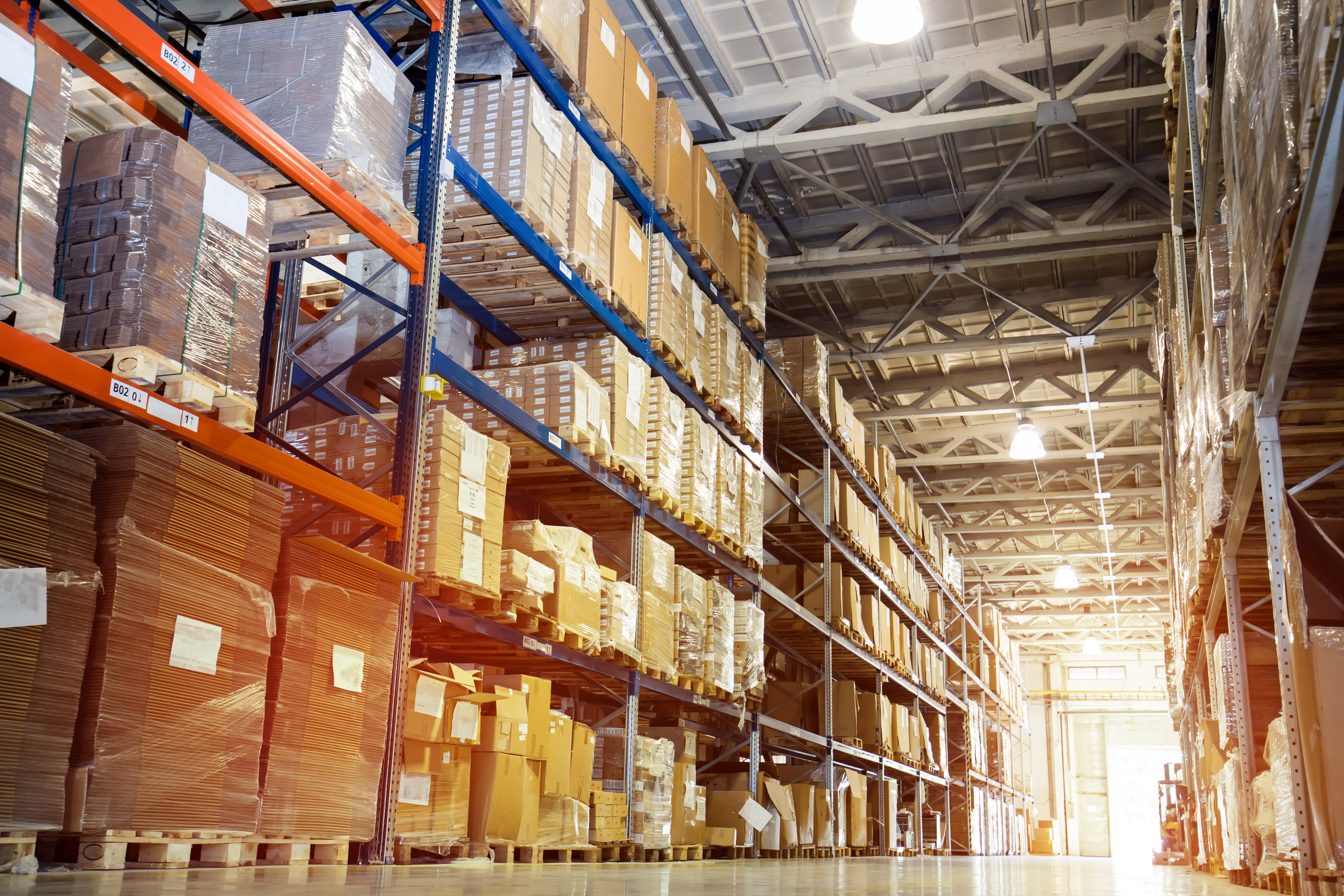Distribution: Warehouse Management