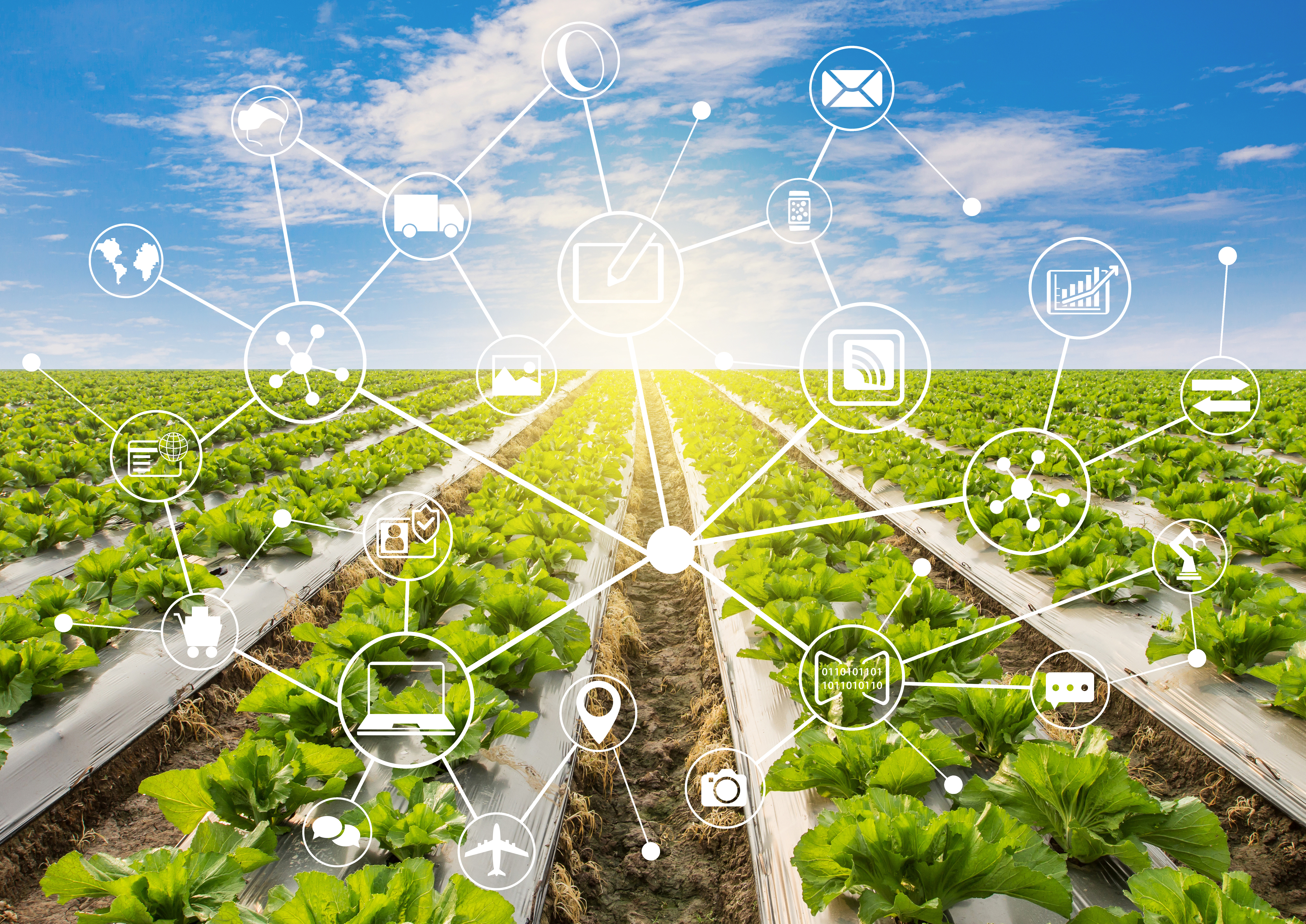 ERP8 Farm Fresh Agriculture ERP Software PLC